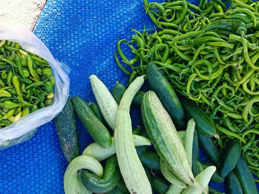 Konya’nın yüzde 100 yerli pazarı 32